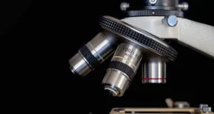 Lente di ingrandimento o primo microscopio