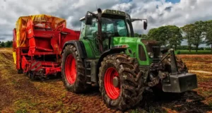 Come valutare un terreno agricolo